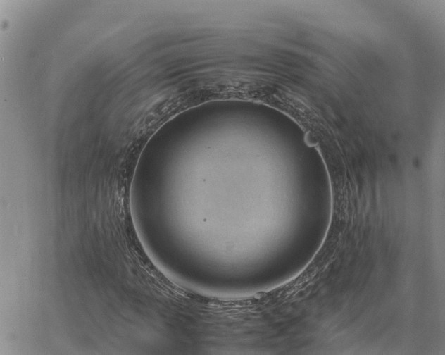 X0000064751013200602171727