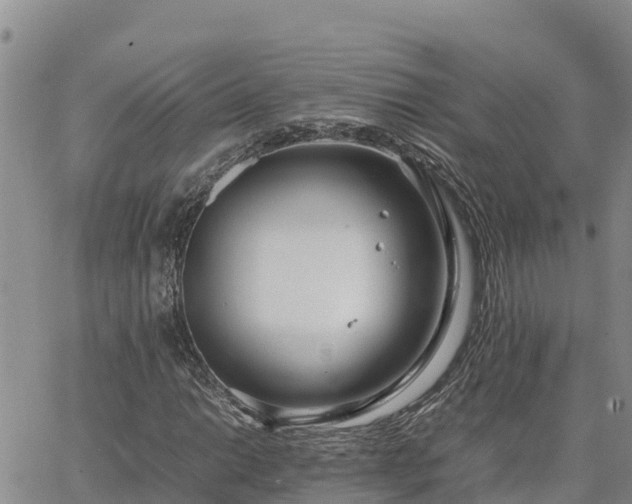 X0000064751014200602171727