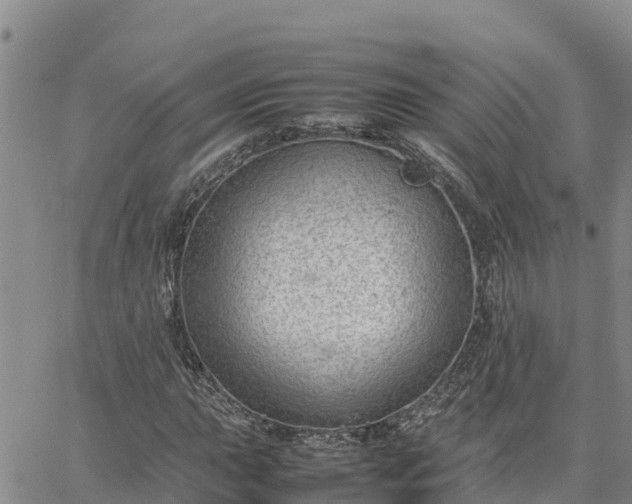 X0000064751015200602171727