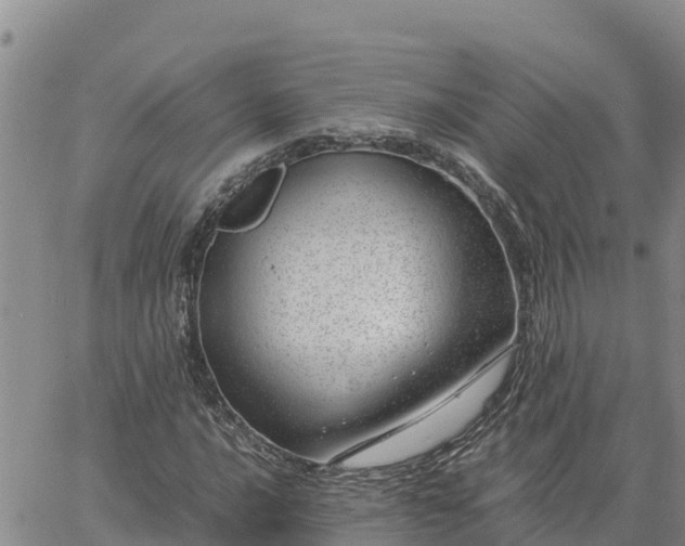 X0000064751016200602171727