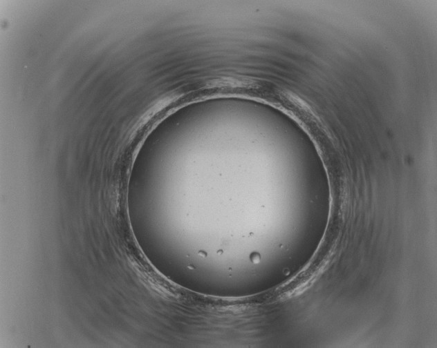 X0000064751017200602171727