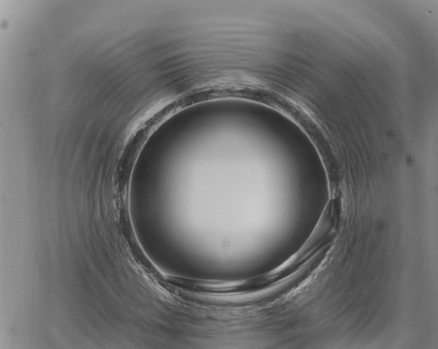 X0000064751018200602171727