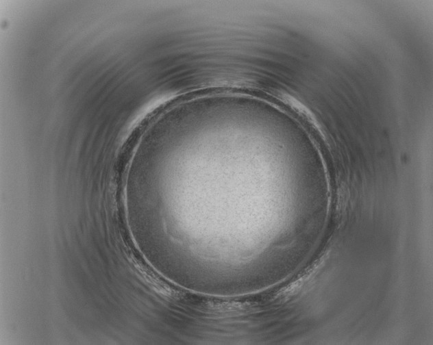 X0000064751019200602171727