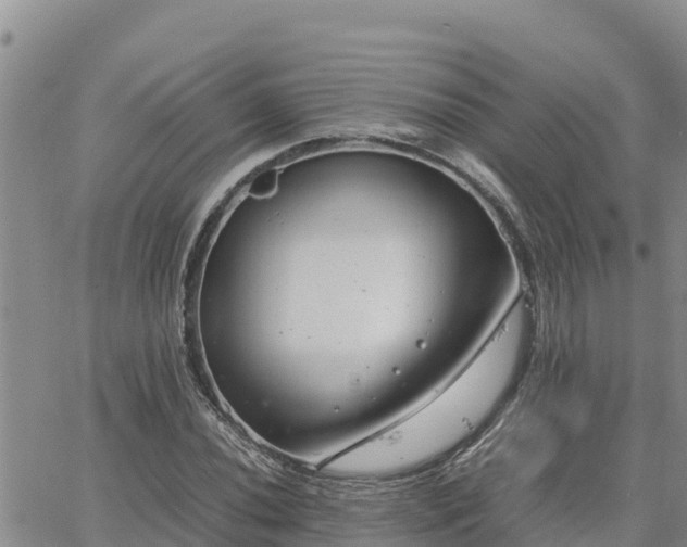 X0000064751020200602171727