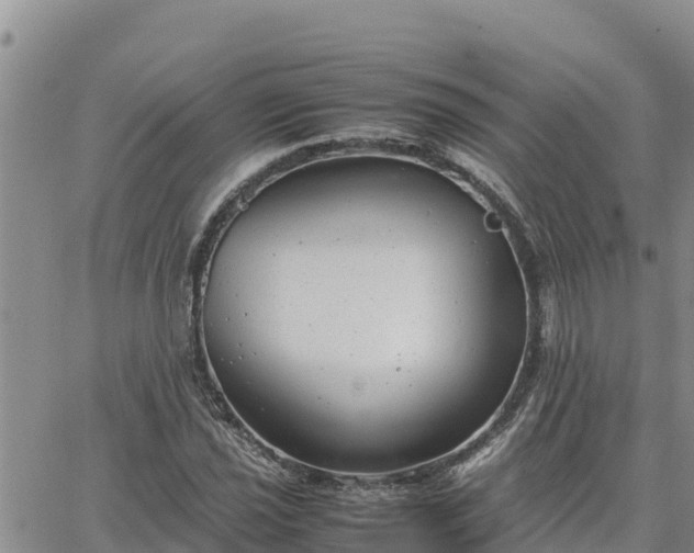 X0000064751021200602171728