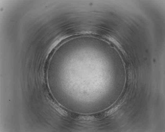 X0000064751023200602171728