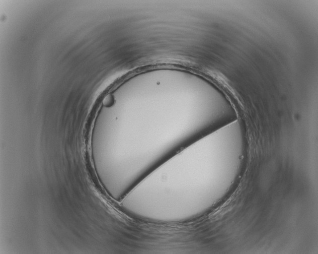 X0000064751024200602171728