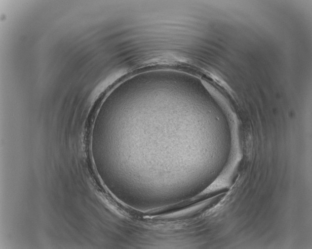 X0000064751026200602171728