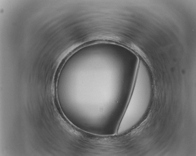 X0000064751028200602171728