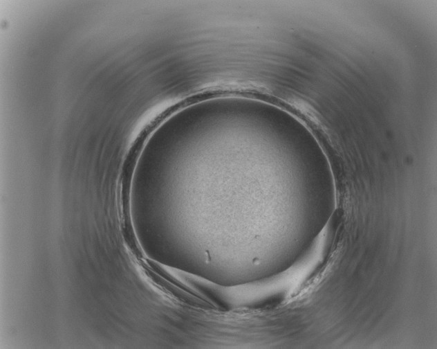 X0000064751030200602171728