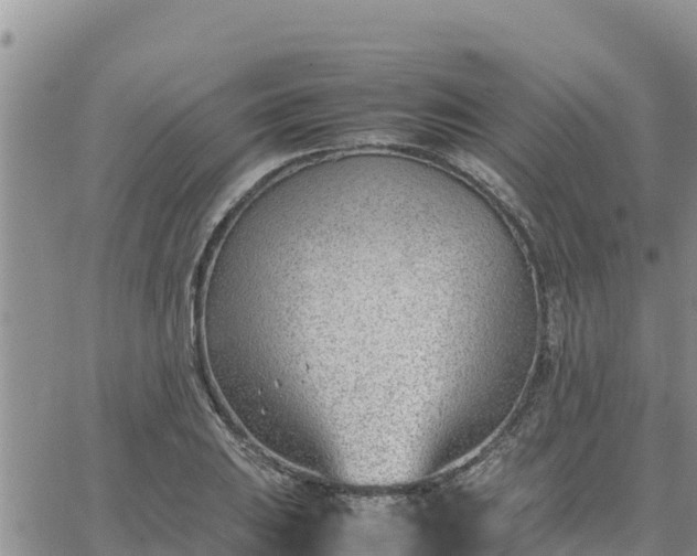 X0000064751031200602171728