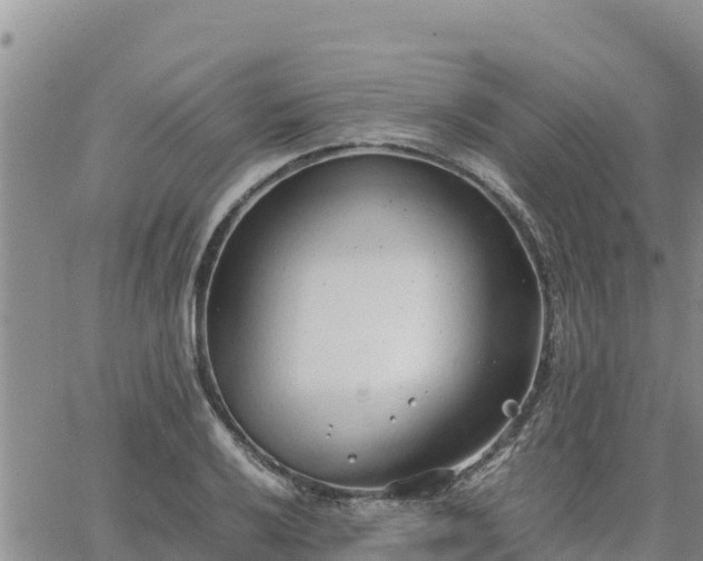 X0000064751032200602171728