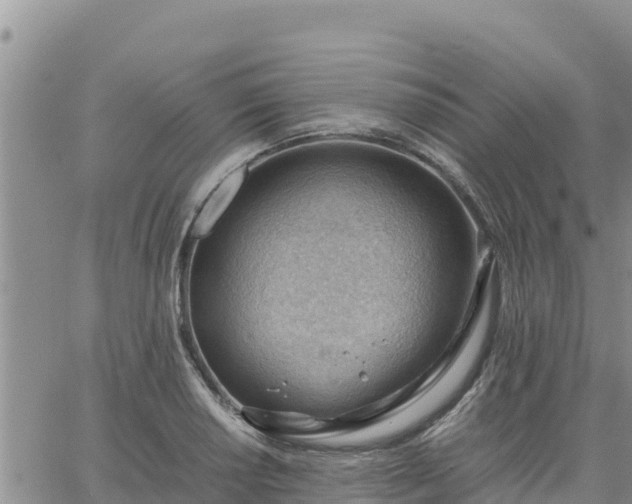 X0000064751034200602171728