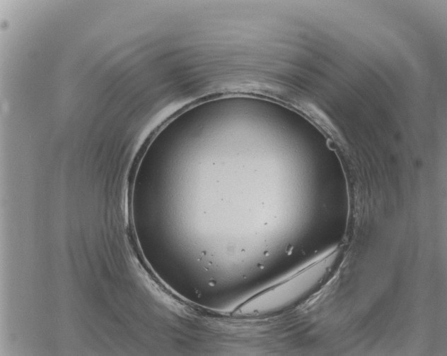 X0000064751036200602171728