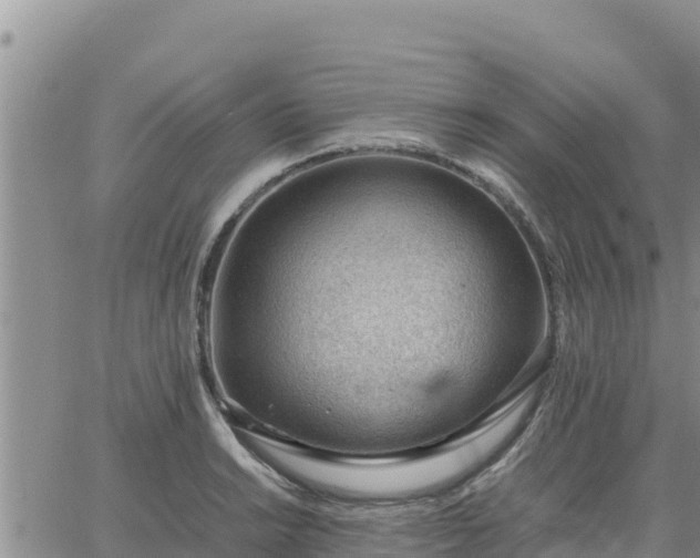 X0000064751038200602171728