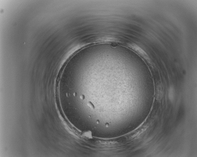 X0000064751039200602171728