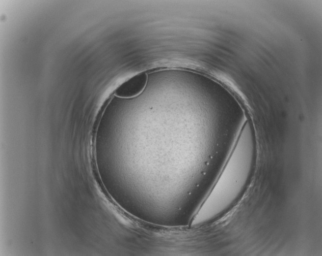 X0000064751040200602171728