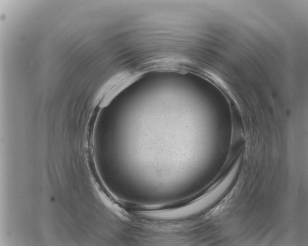 X0000064751042200602171728