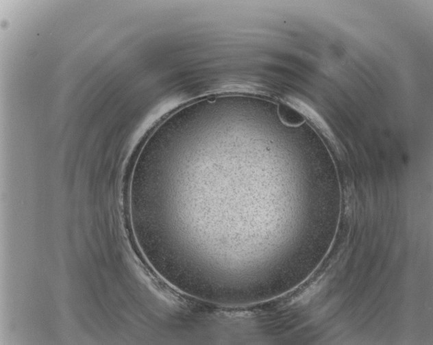 X0000064751043200602171728