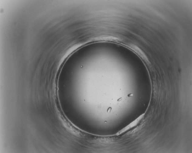 X0000064751044200602171728