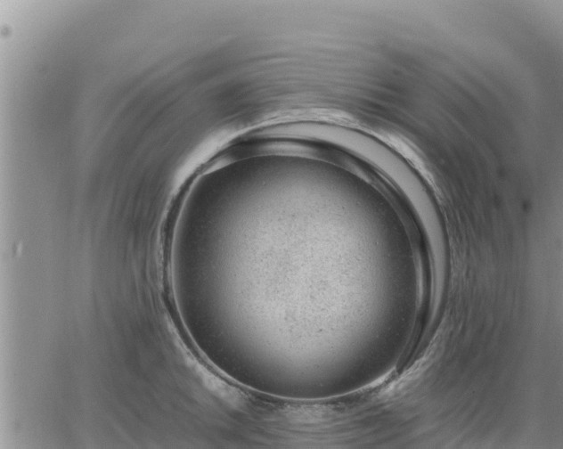 X0000064751046200602171728