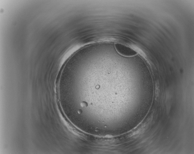 X0000064751047200602171728