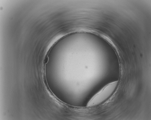 X0000064751048200602171728