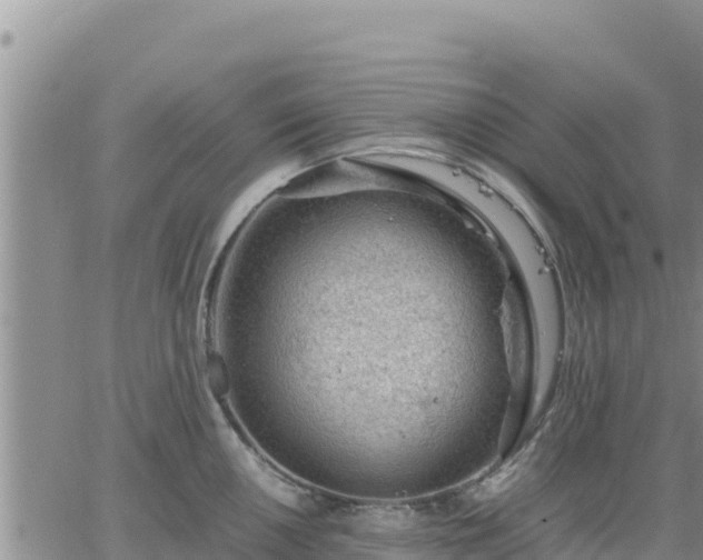 X0000064751050200602171728