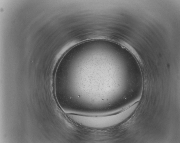 X0000064751051200602171728