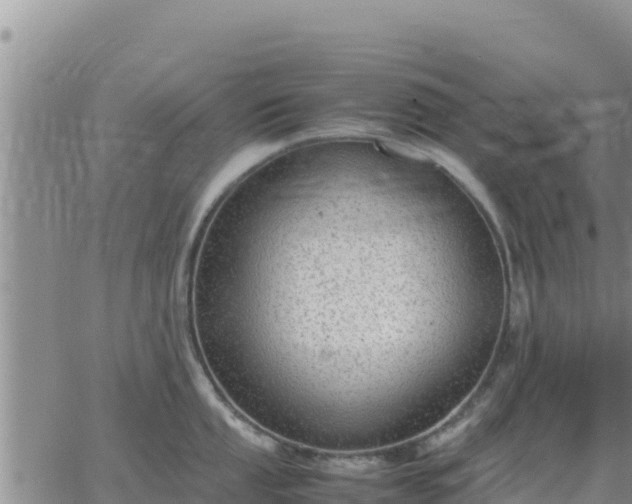 X0000064751053200602171728