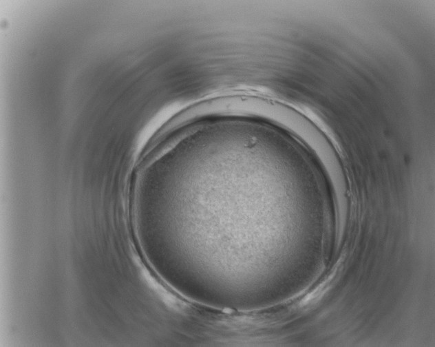 X0000064751054200602171728