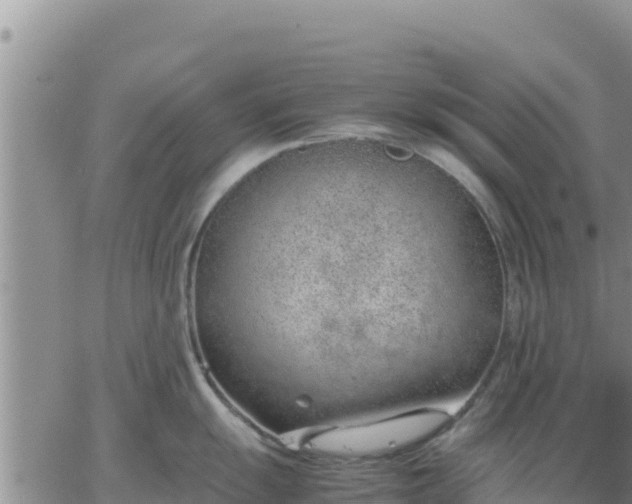 X0000064751055200602171728