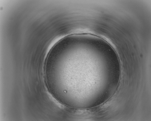 X0000064751056200602171728