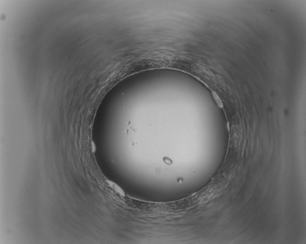 X0000064751057200602171727