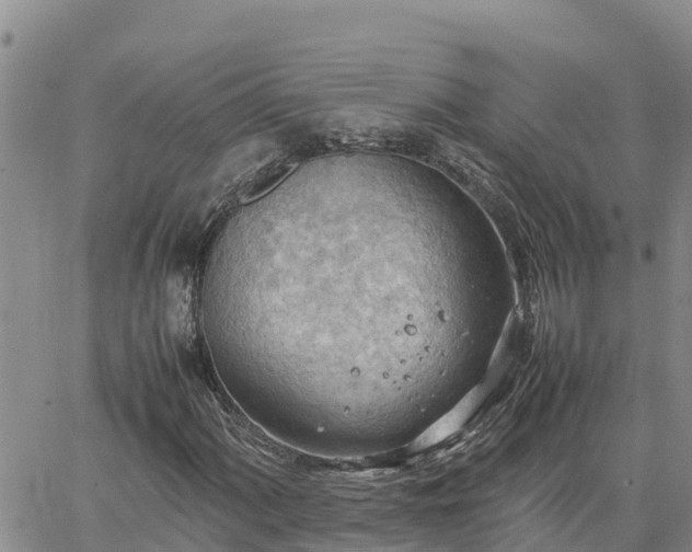 X0000064751060200602171727