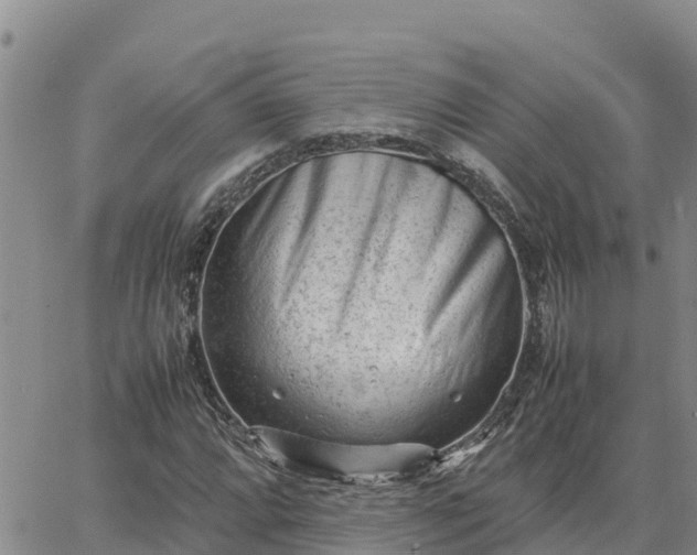 X0000064751064200602171727