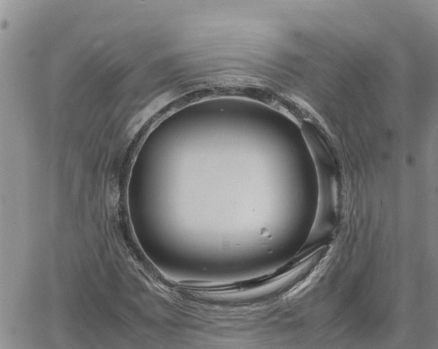 X0000064751065200602171727