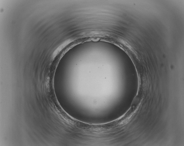 X0000064751066200602171727