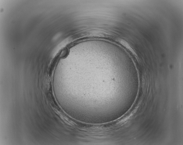 X0000064751067200602171727