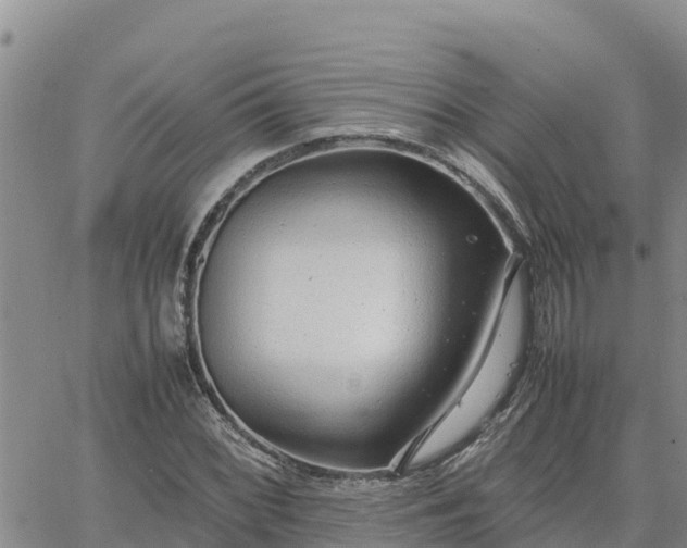 X0000064751068200602171727