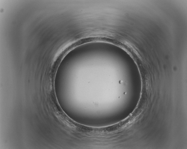 X0000064751069200602171727