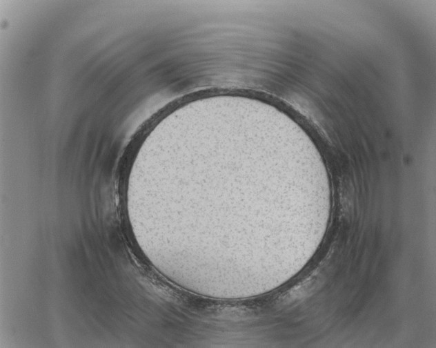 X0000064751070200602171727