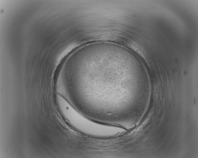 X0000064751071200602171727