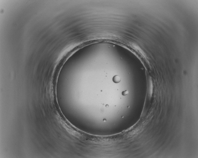 X0000064751072200602171727