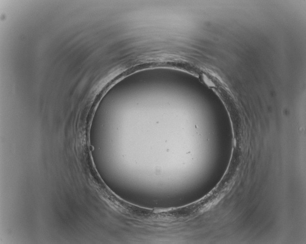 X0000064751073200602171727