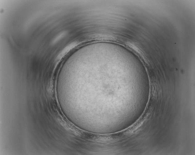 X0000064751074200602171727