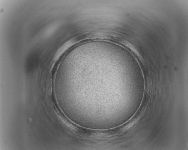 X0000064751075200602171727