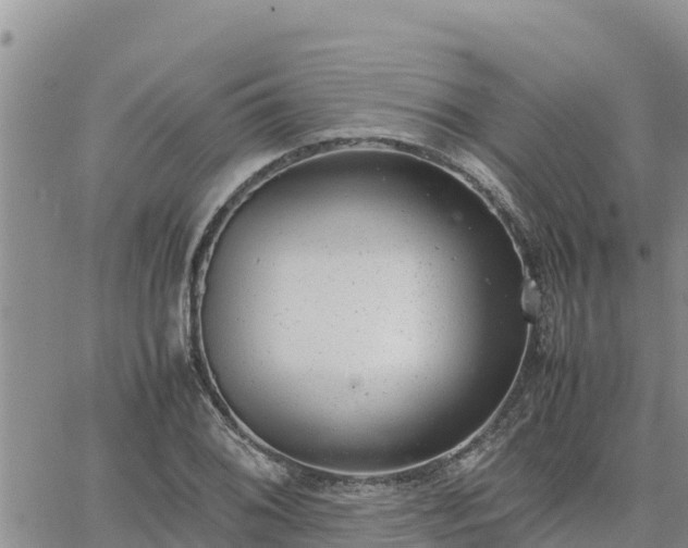 X0000064751076200602171727