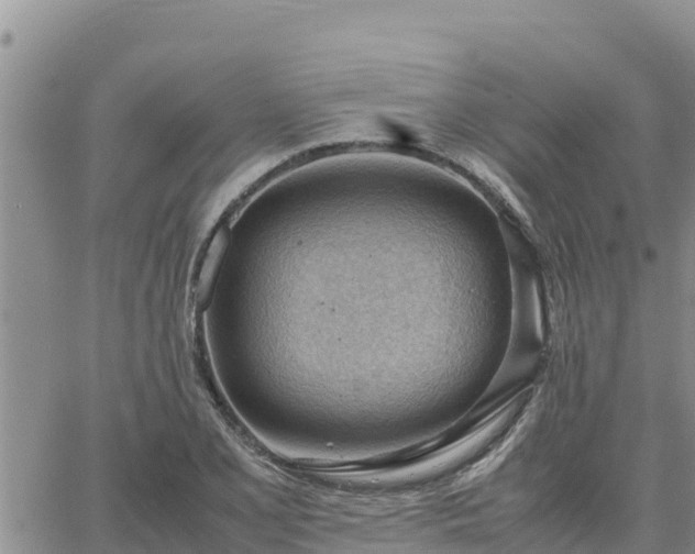 X0000064751077200602171727