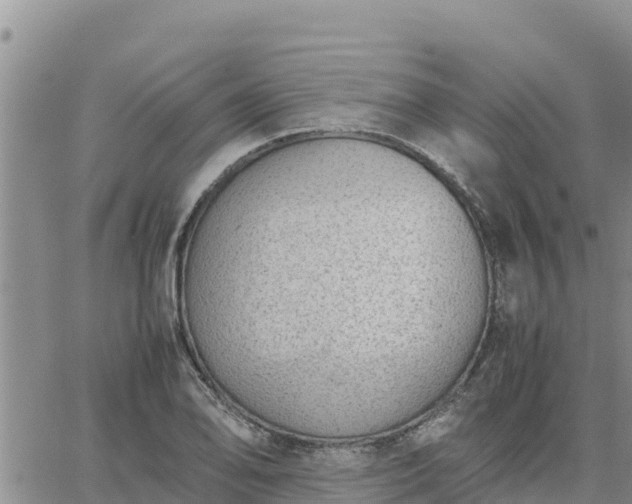 X0000064751078200602171727